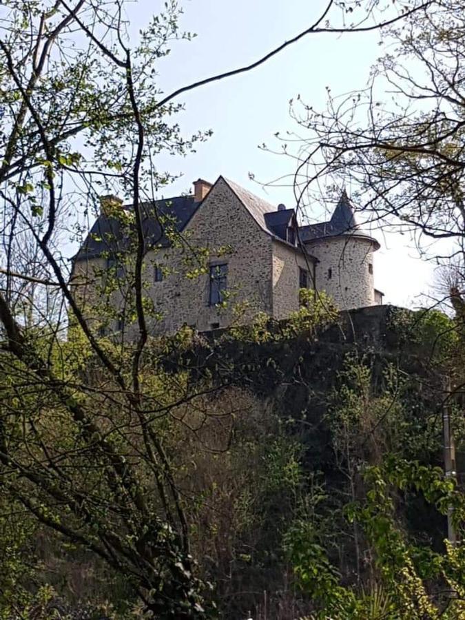 Manoir De La Coudre Hotel Changé Buitenkant foto
